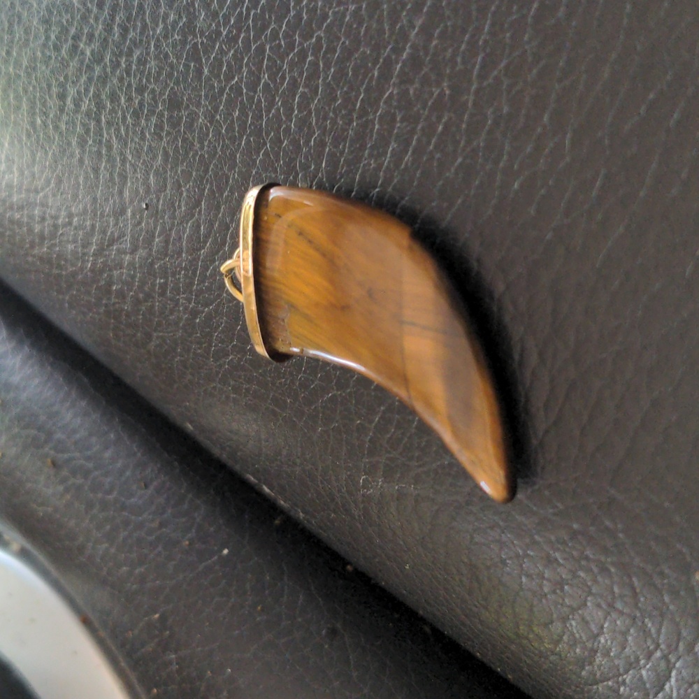 Large Tiger Eye Claw